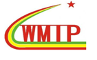 WMIP